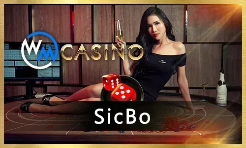 Live dealer dealing cards at a blackjack table